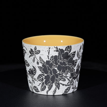 Iris Blossom · 126