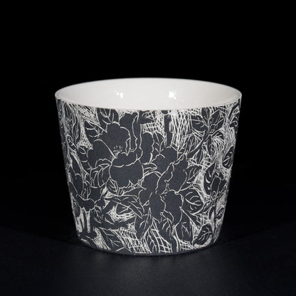 Iris Blossom · 249